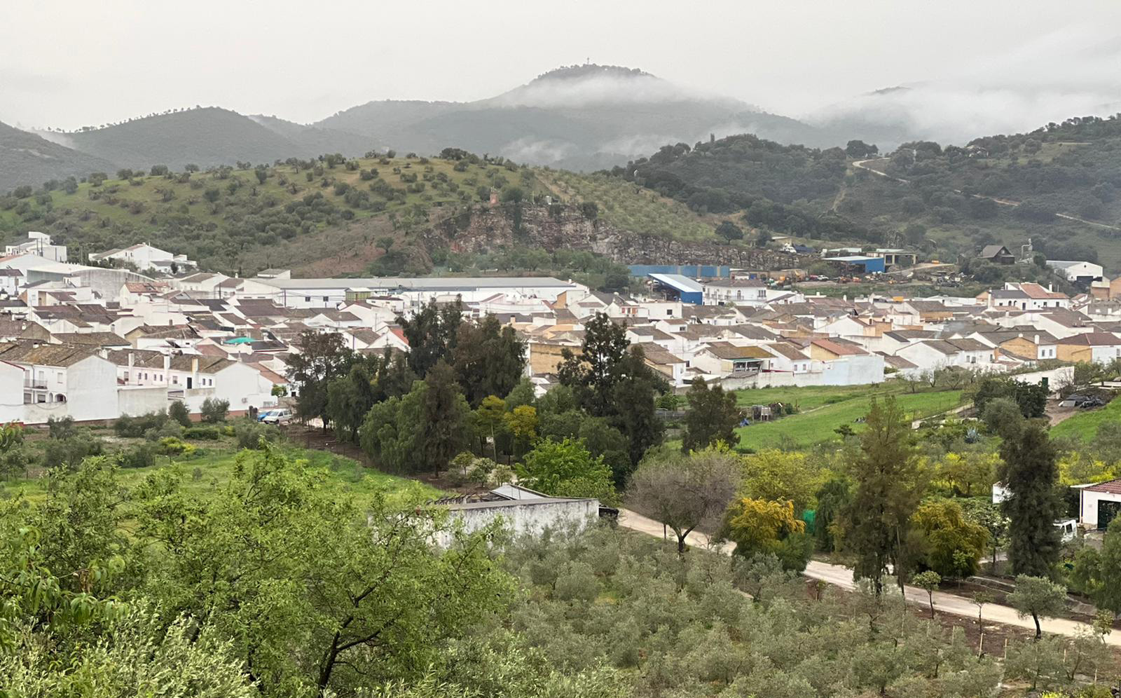 coripe - san bernardo - pastor de orellana