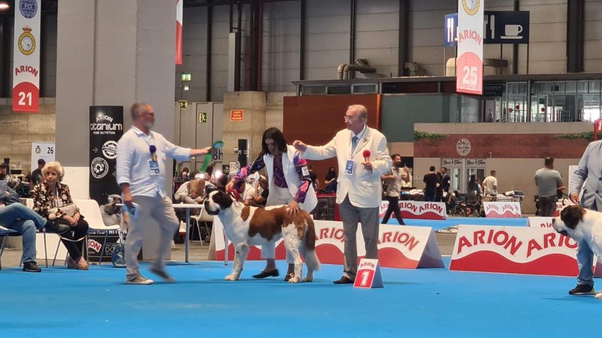 camada EXPOSICIÓN MUNDIAL DE MADRID 2022: REGINA VON DER PLASSENBURG SE PROCLAMA CAMPEONA DEL MUNDO