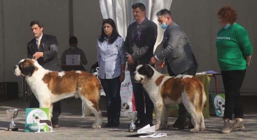 camada NEW POST  NUEVA CAMPEONA DE PORTUGAL Regina Von Der Plassenburg