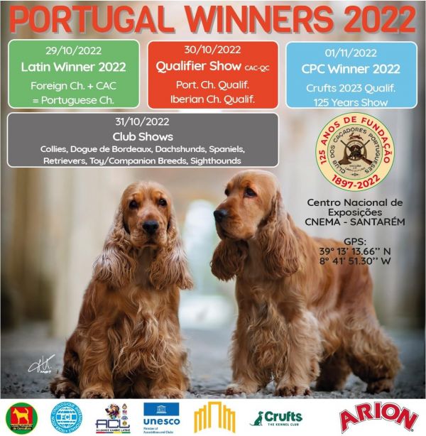 138ª E.C Internacional do Clube Portugués de Canicultura ( Punto Obligatorio) + 139ª Internacional do clube Portugués ( CPc Winner 2022)  SANTAREM - san bernardo