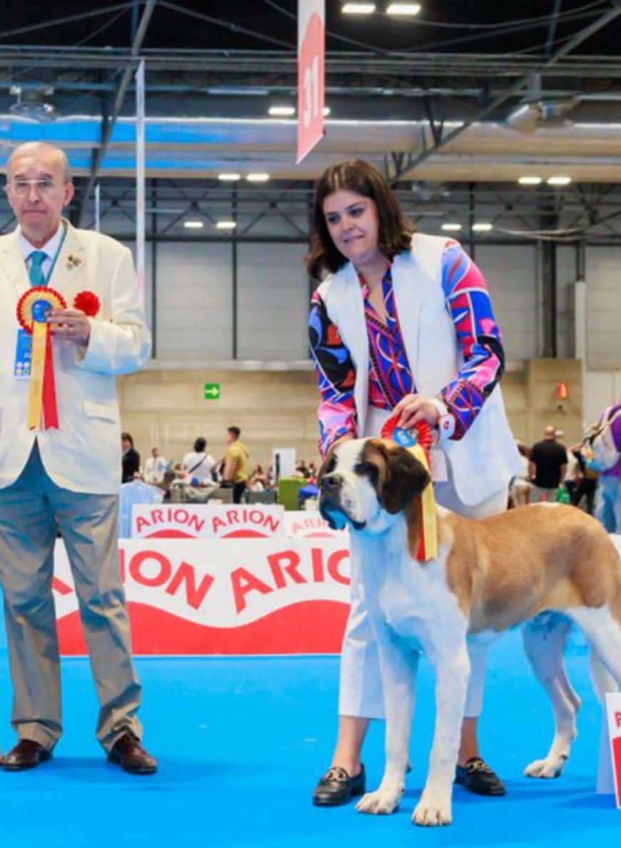 camada WORLD DOG SHOW 