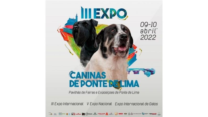 5ª E.C. NACIONAL DO ALTO MINHO - san bernardo