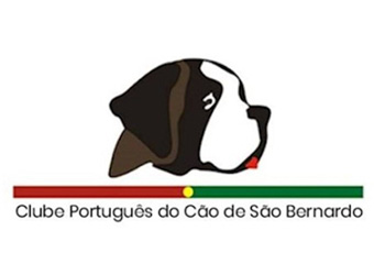 clube portugues san bernardo